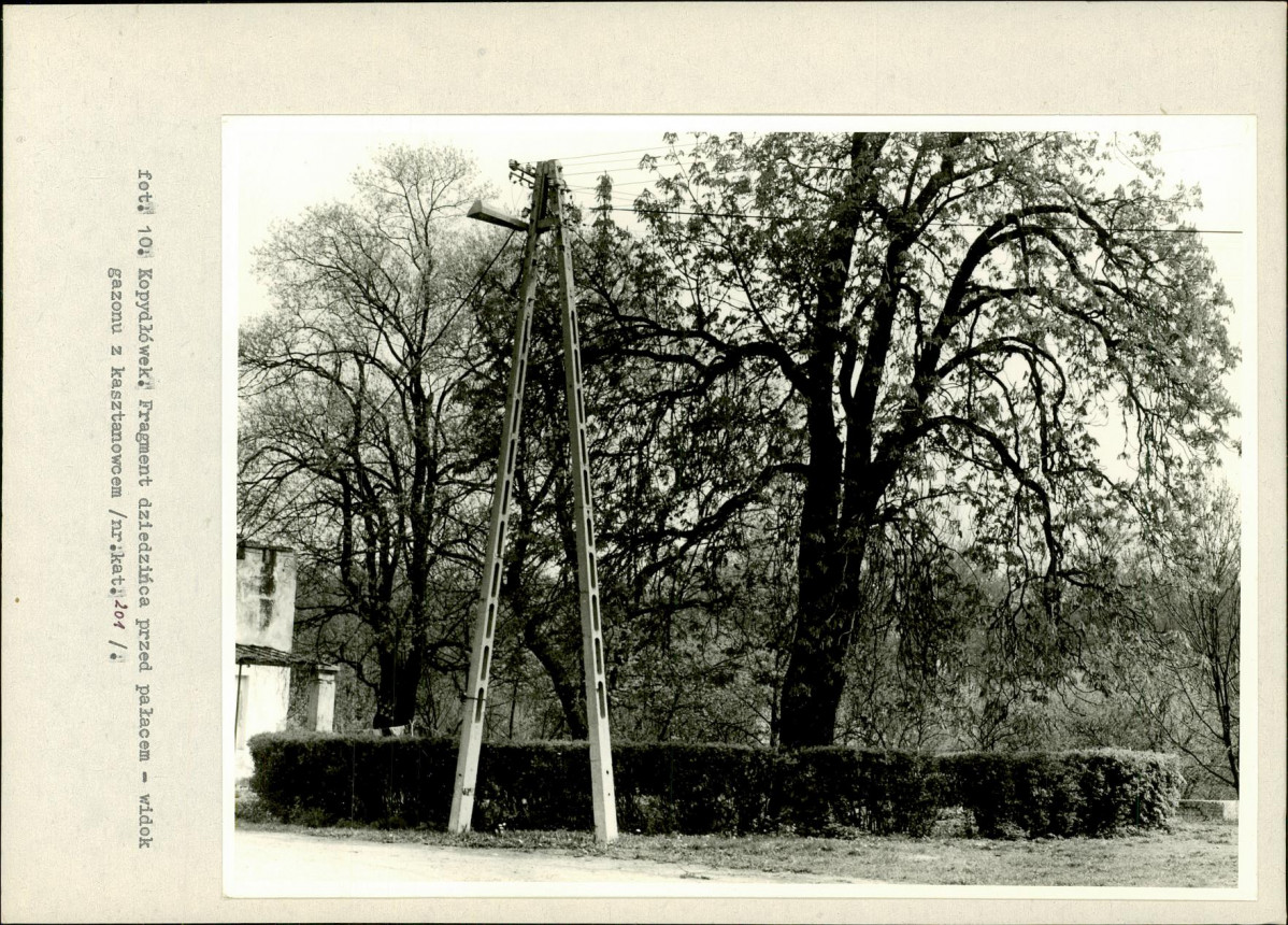 Ewidencja parkowa, skan nr 34