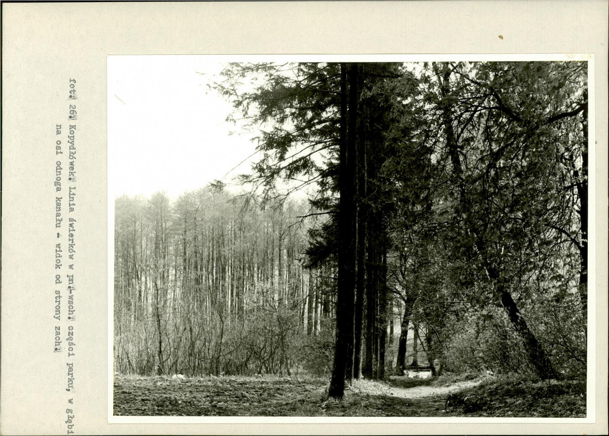 Ewidencja parkowa, skan nr 50