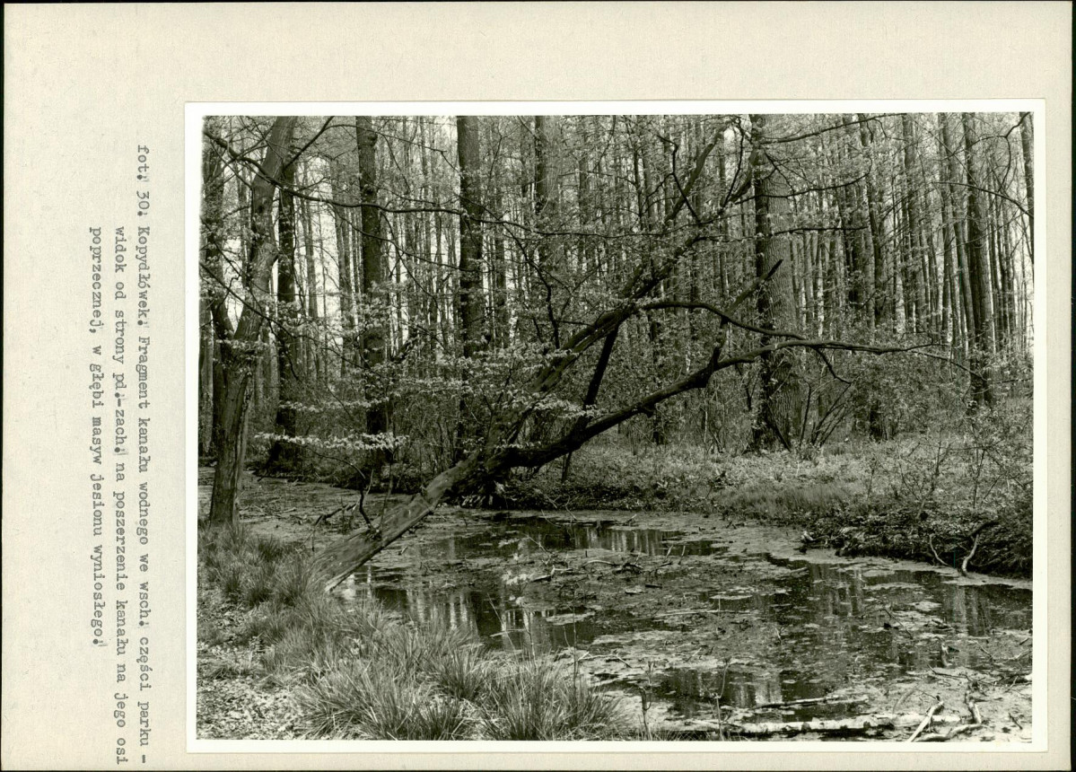 Ewidencja parkowa, skan nr 54