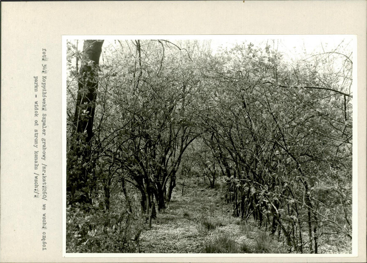 Ewidencja parkowa, skan nr 58