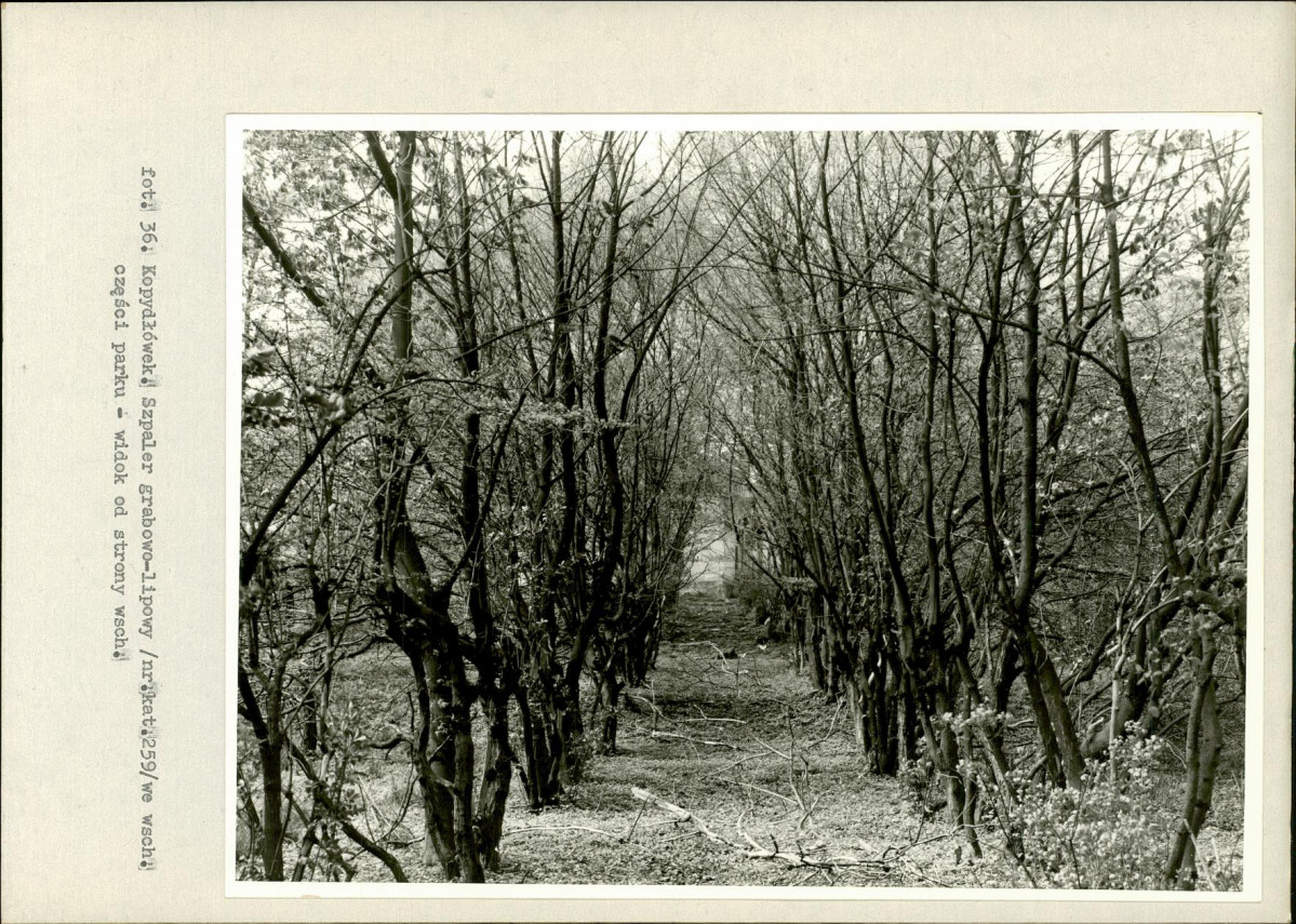 Ewidencja parkowa, skan nr 60