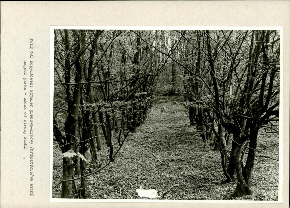 Ewidencja parkowa, skan nr 62
