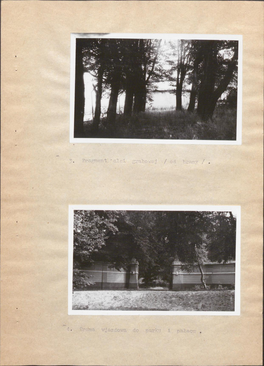 Ewidencja parkowa, skan nr 20