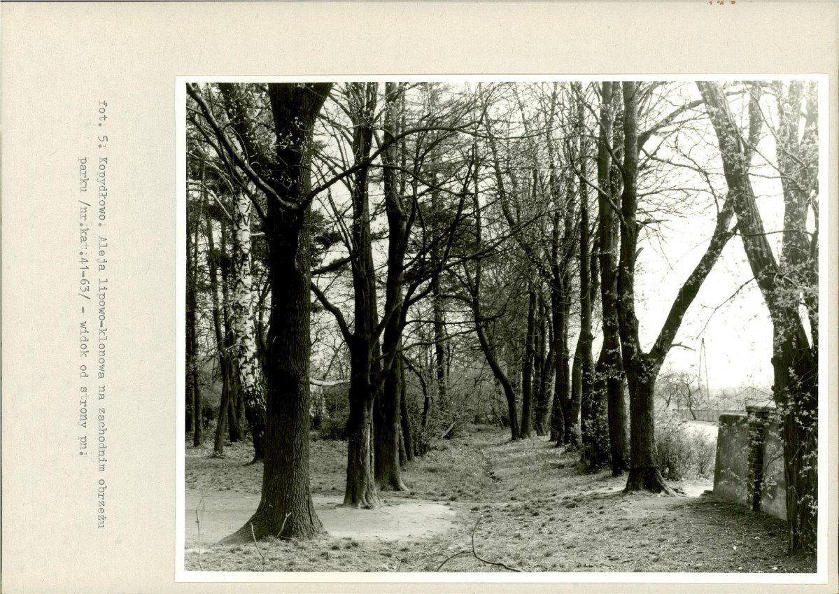 Ewidencja parkowa, skan nr 26