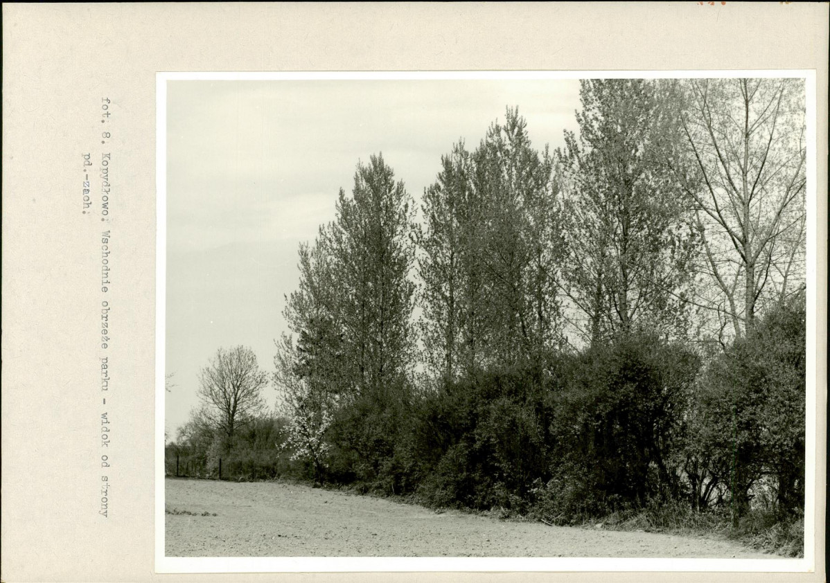 Ewidencja parkowa, skan nr 29