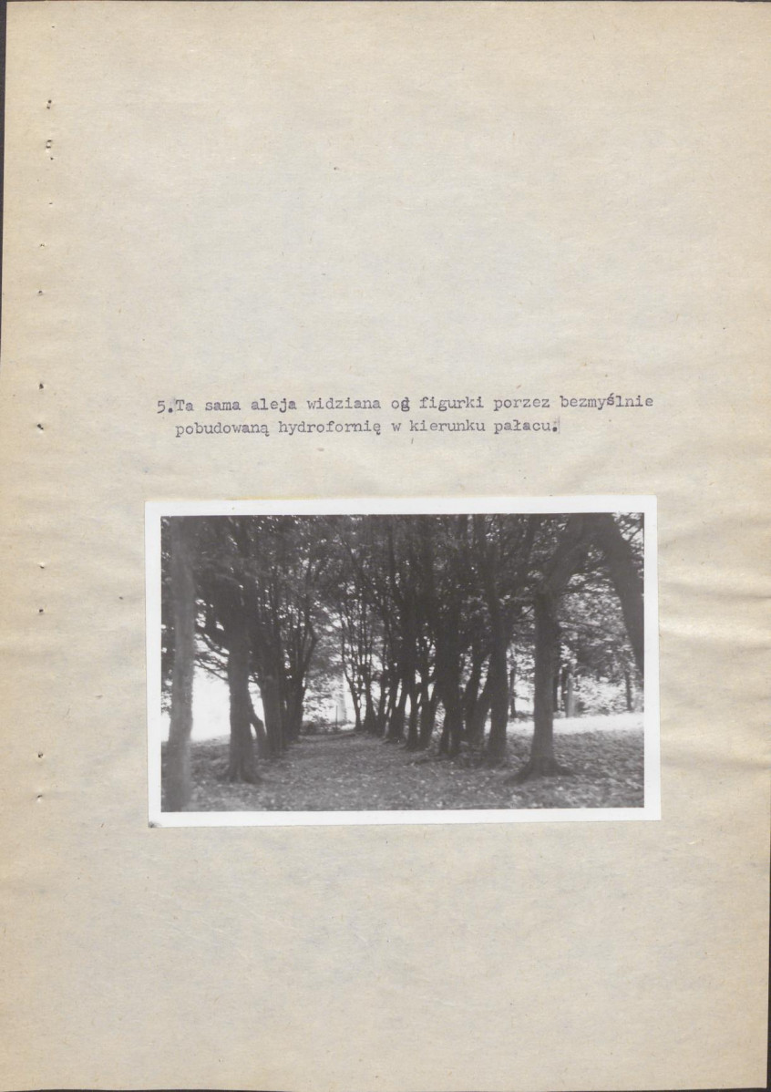 Ewidencja parkowa, skan nr 19
