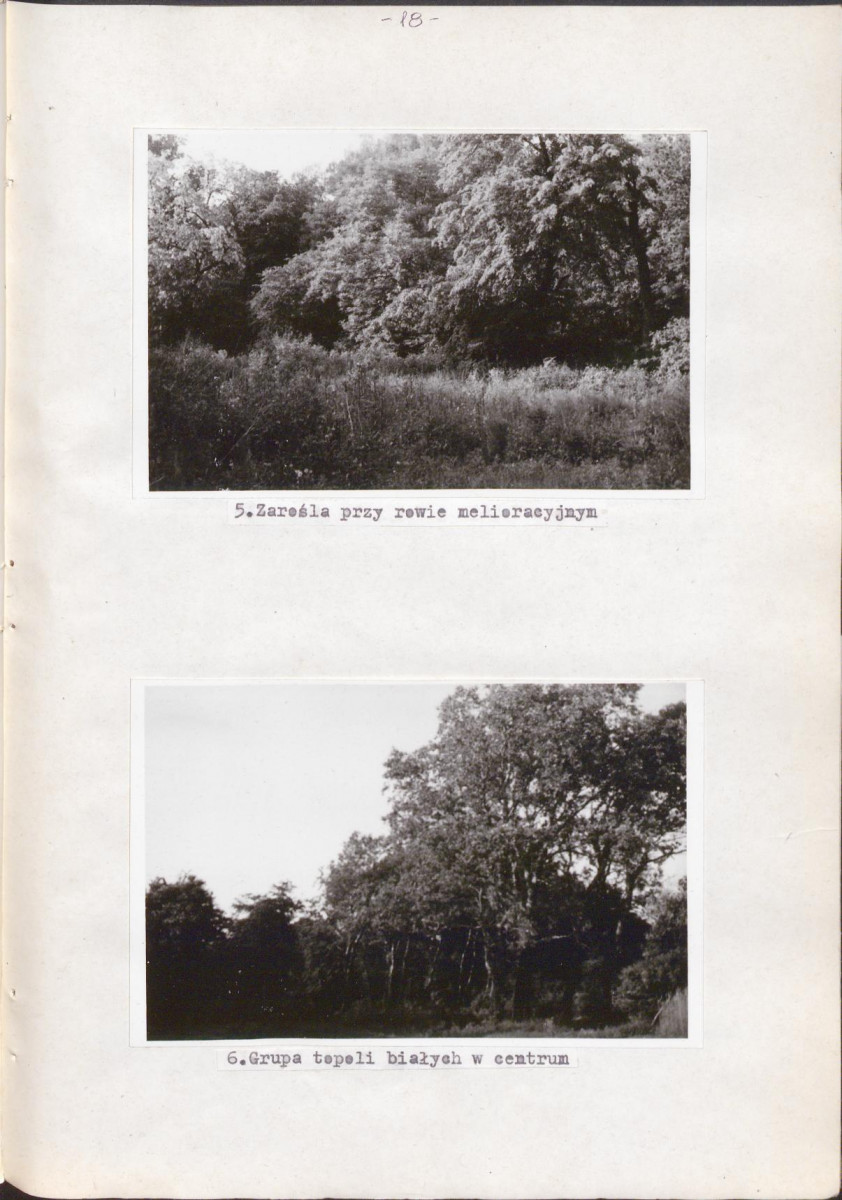 Ewidencja parkowa, skan nr 30