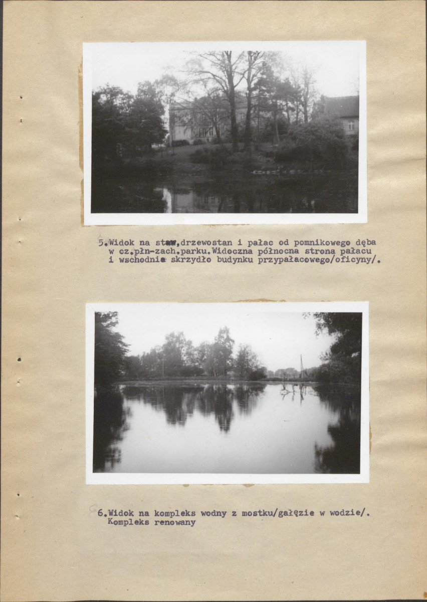Ewidencja parkowa, skan nr 19