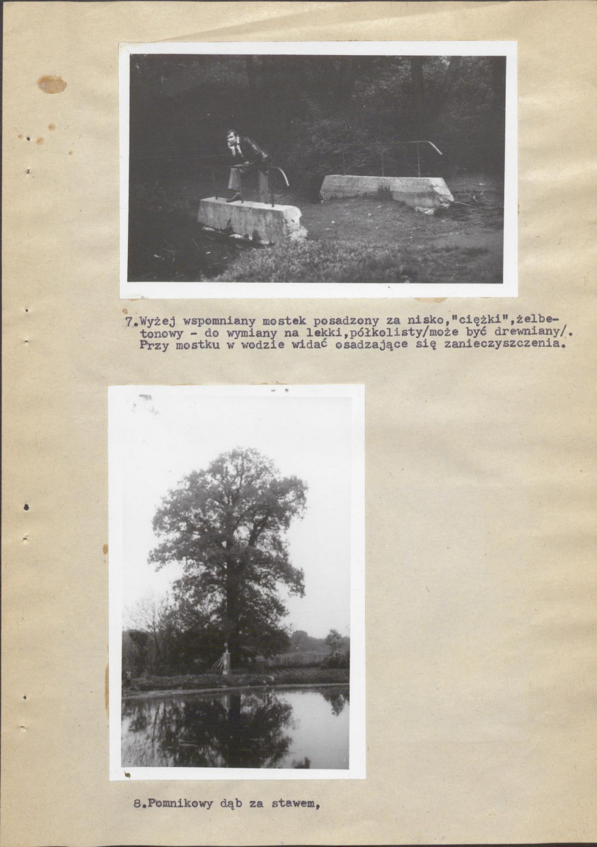 Ewidencja parkowa, skan nr 20