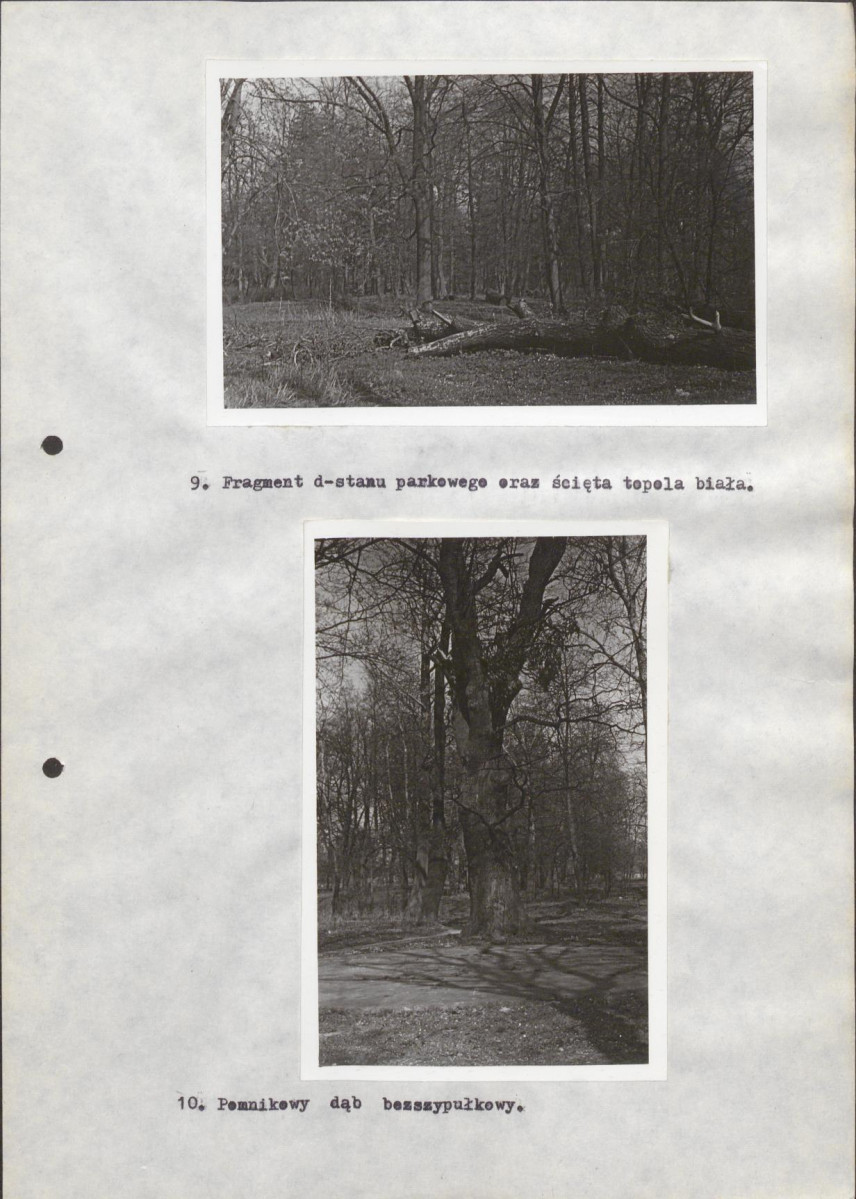 EP - Ewidencja parkowa, skan nr 31