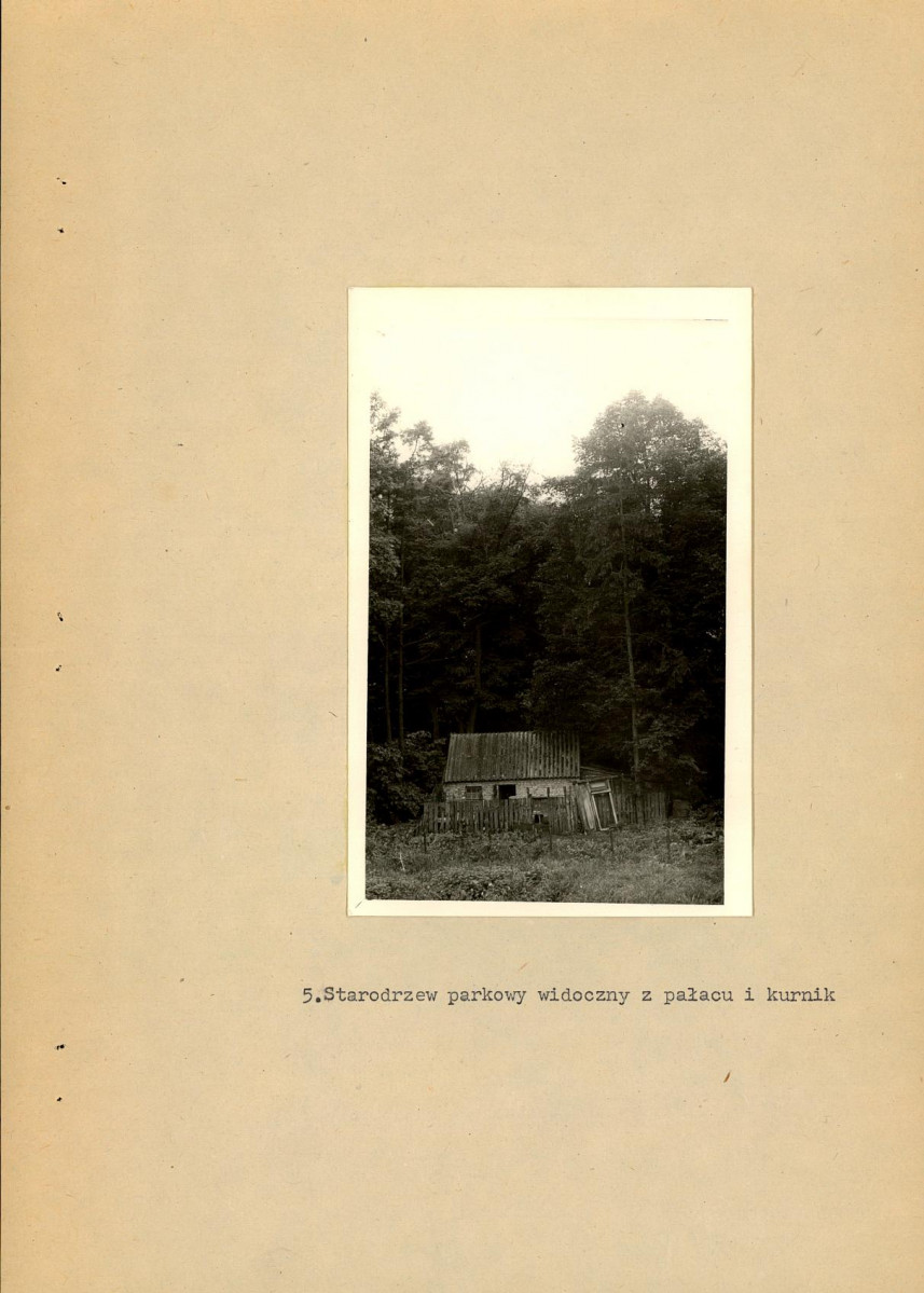 Ewidencja parkowa, skan nr 18