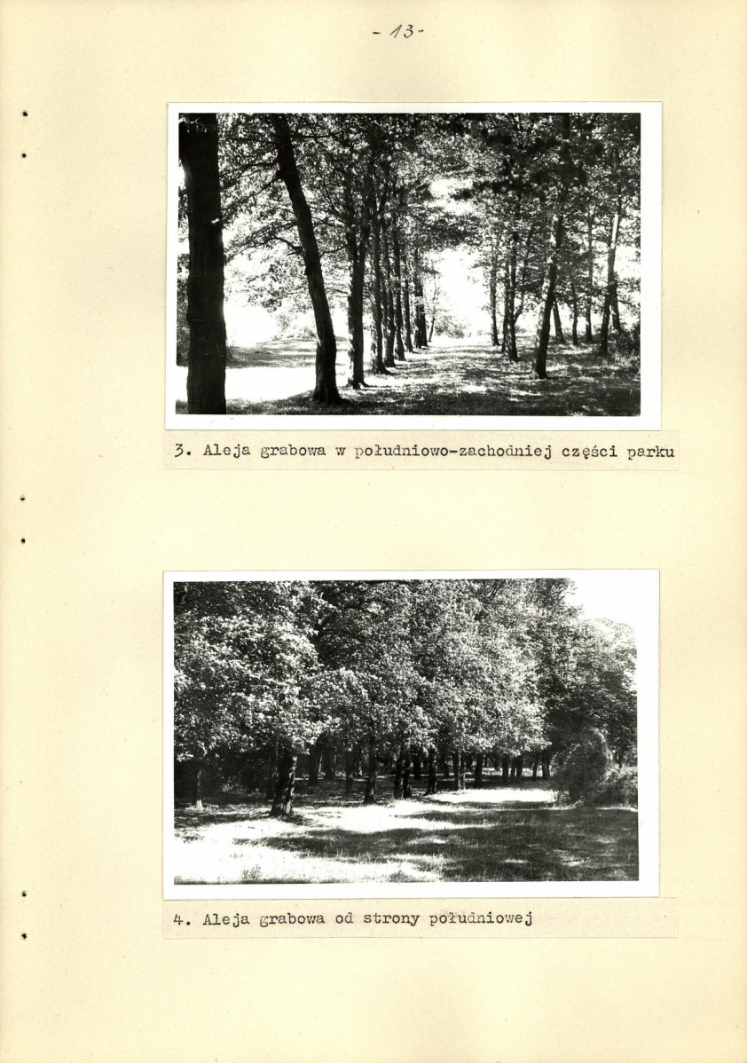 Ewidencja parkowa, skan nr 21