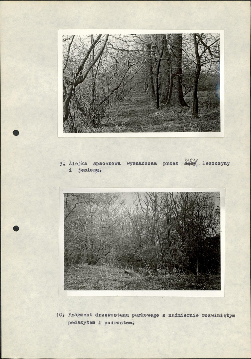 Ewidencja parkowa, skan nr 29