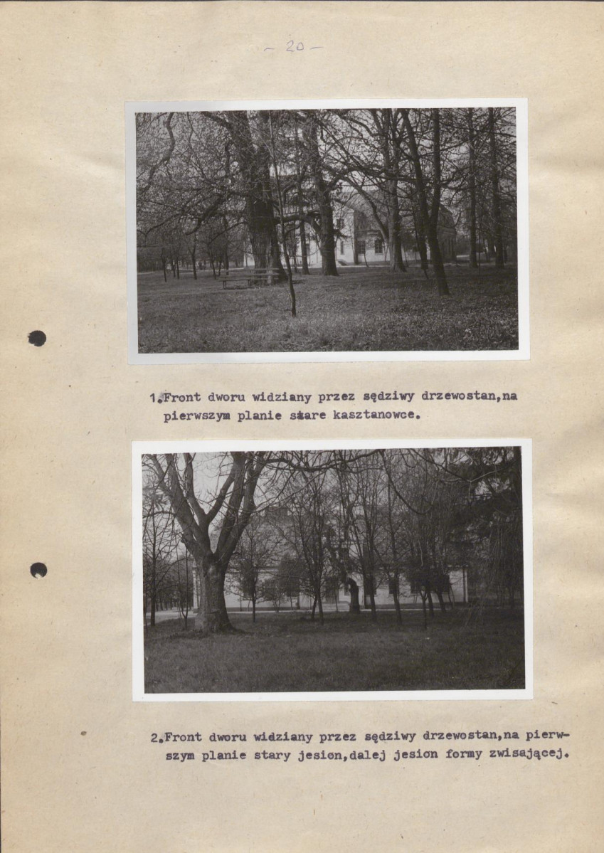 EP - Ewidencja parkowa, skan nr 29