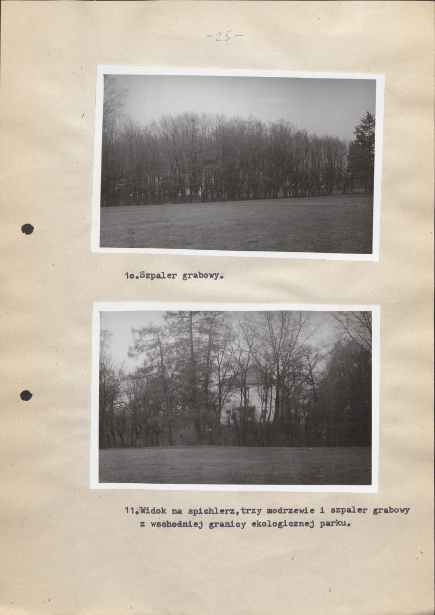 EP - Ewidencja parkowa, skan nr 34
