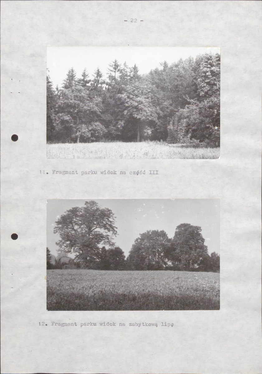 EP - Ewidencja parkowa, skan nr 29