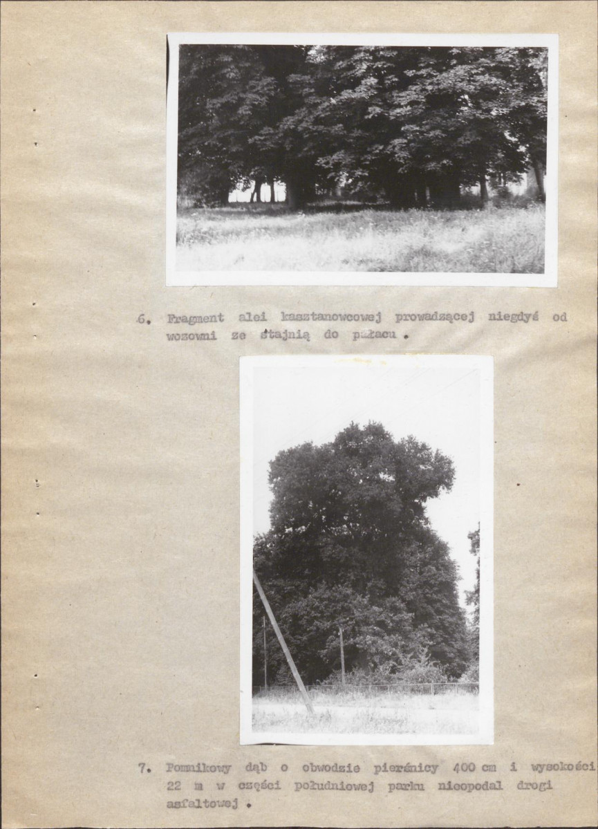 Ewidencja parkowa, skan nr 25