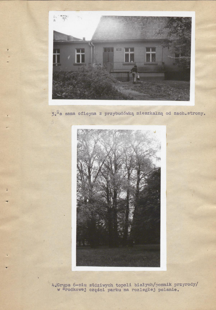 Ewidencja parkowa, skan nr 21