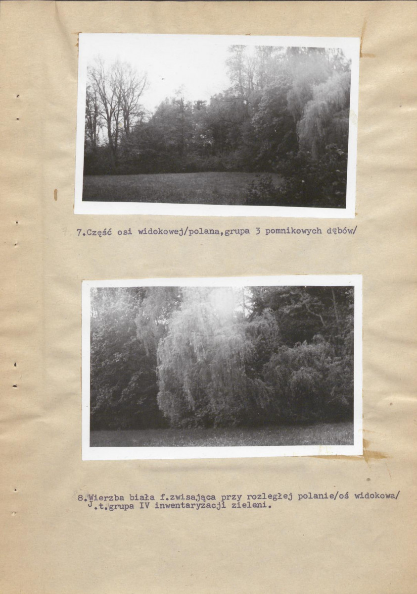 Ewidencja parkowa, skan nr 23