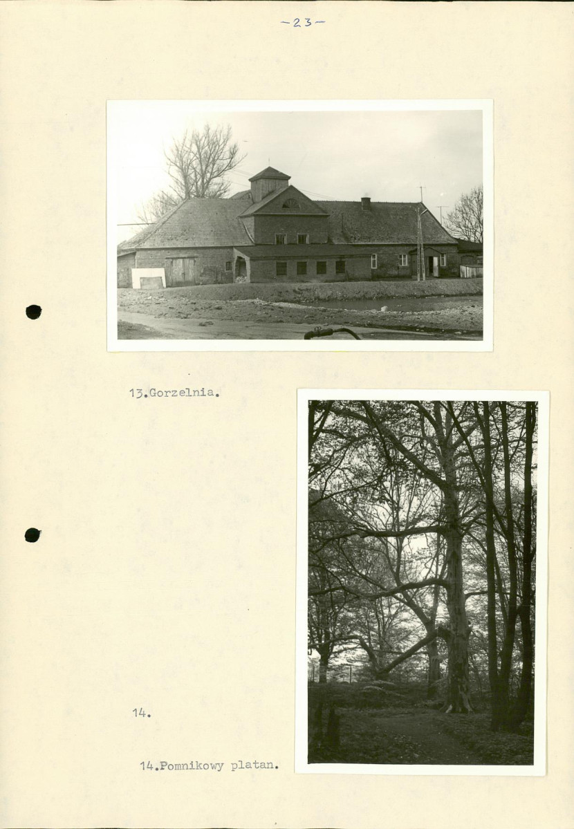 EP - Ewidencja parkowa, skan nr 31
