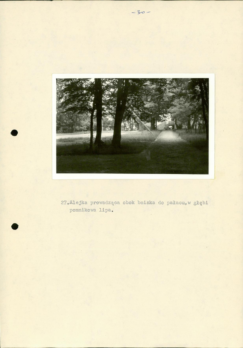 EP - Ewidencja parkowa, skan nr 38