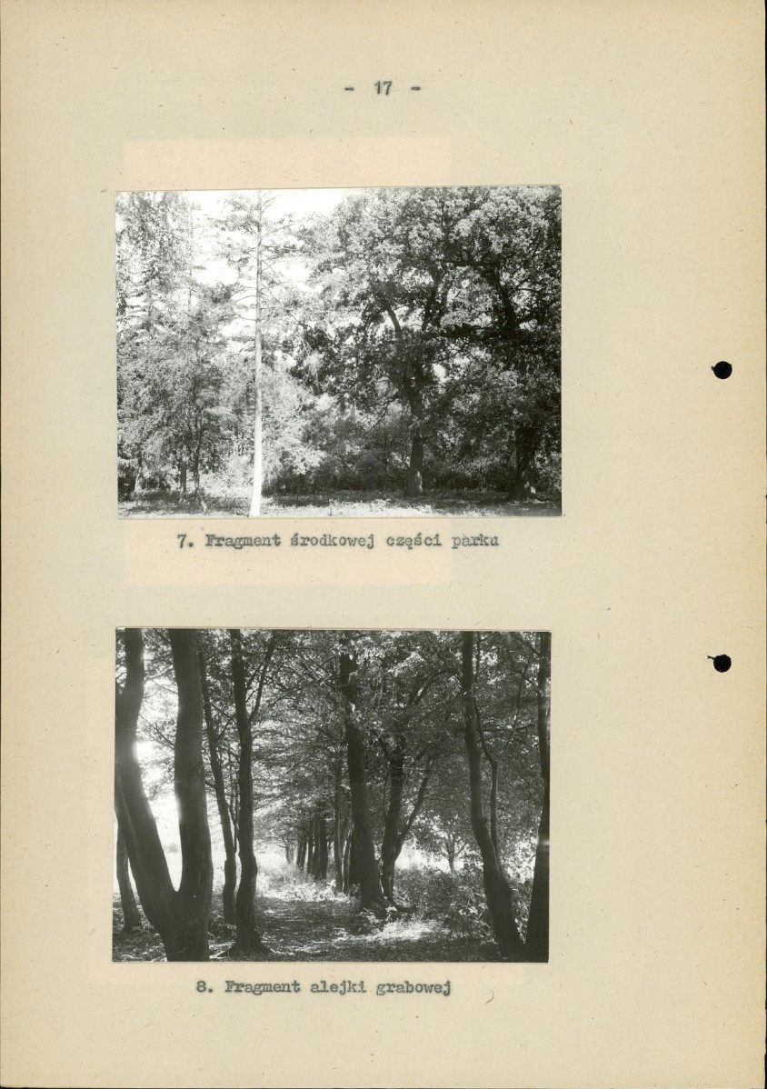 EP - Ewidencja parkowa, skan nr 23