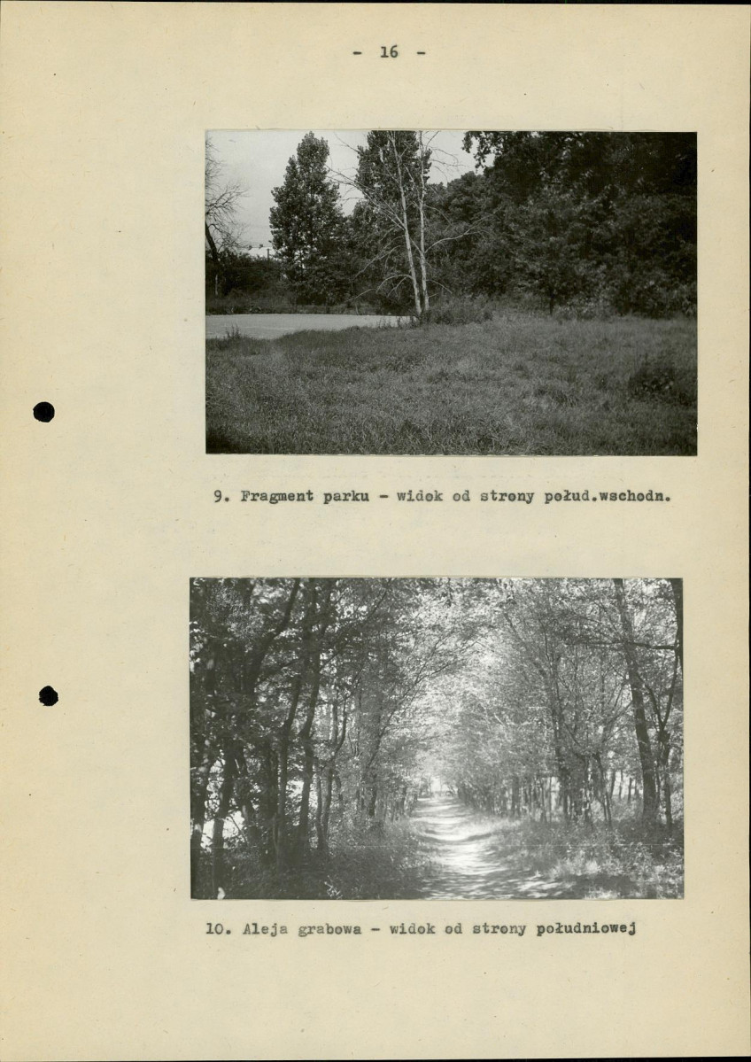 EP - Ewidencja parkowa, skan nr 24