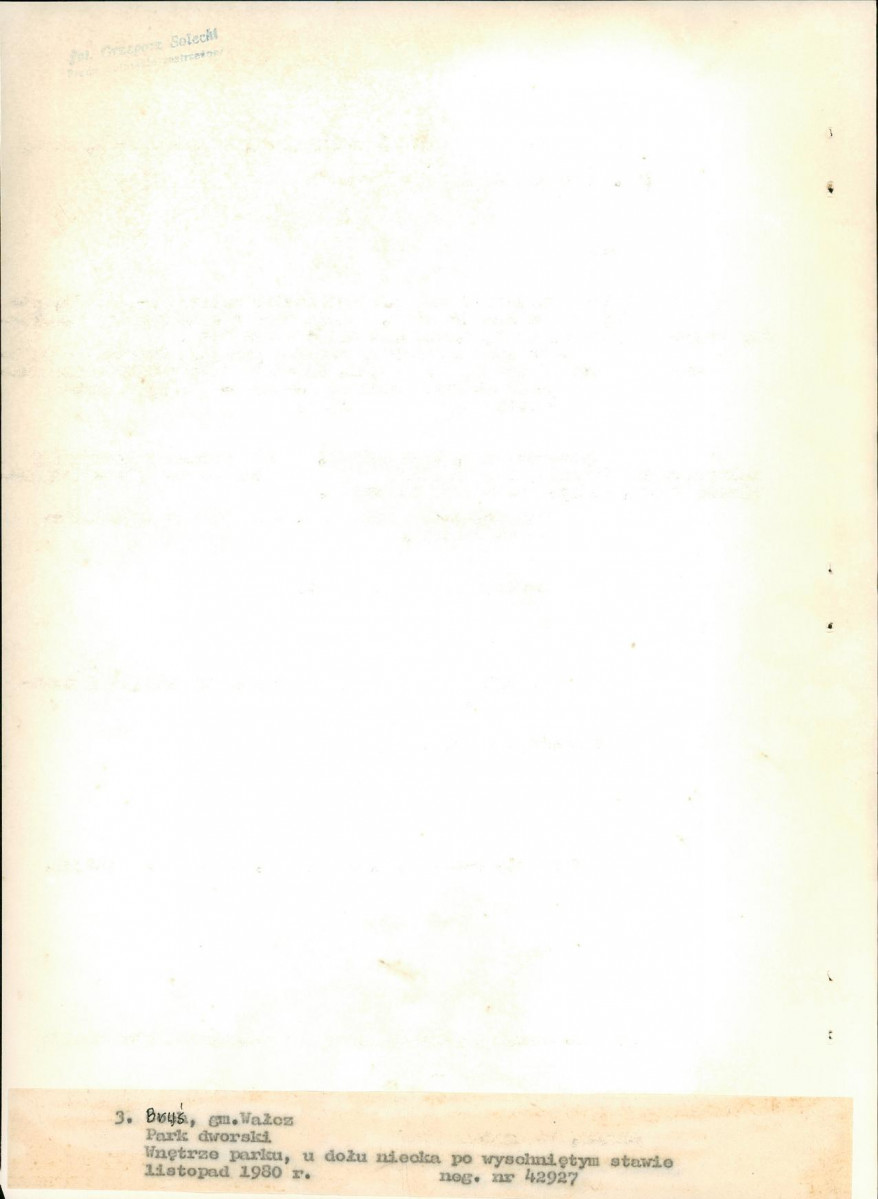 Ewidencja parkowa, skan nr 19