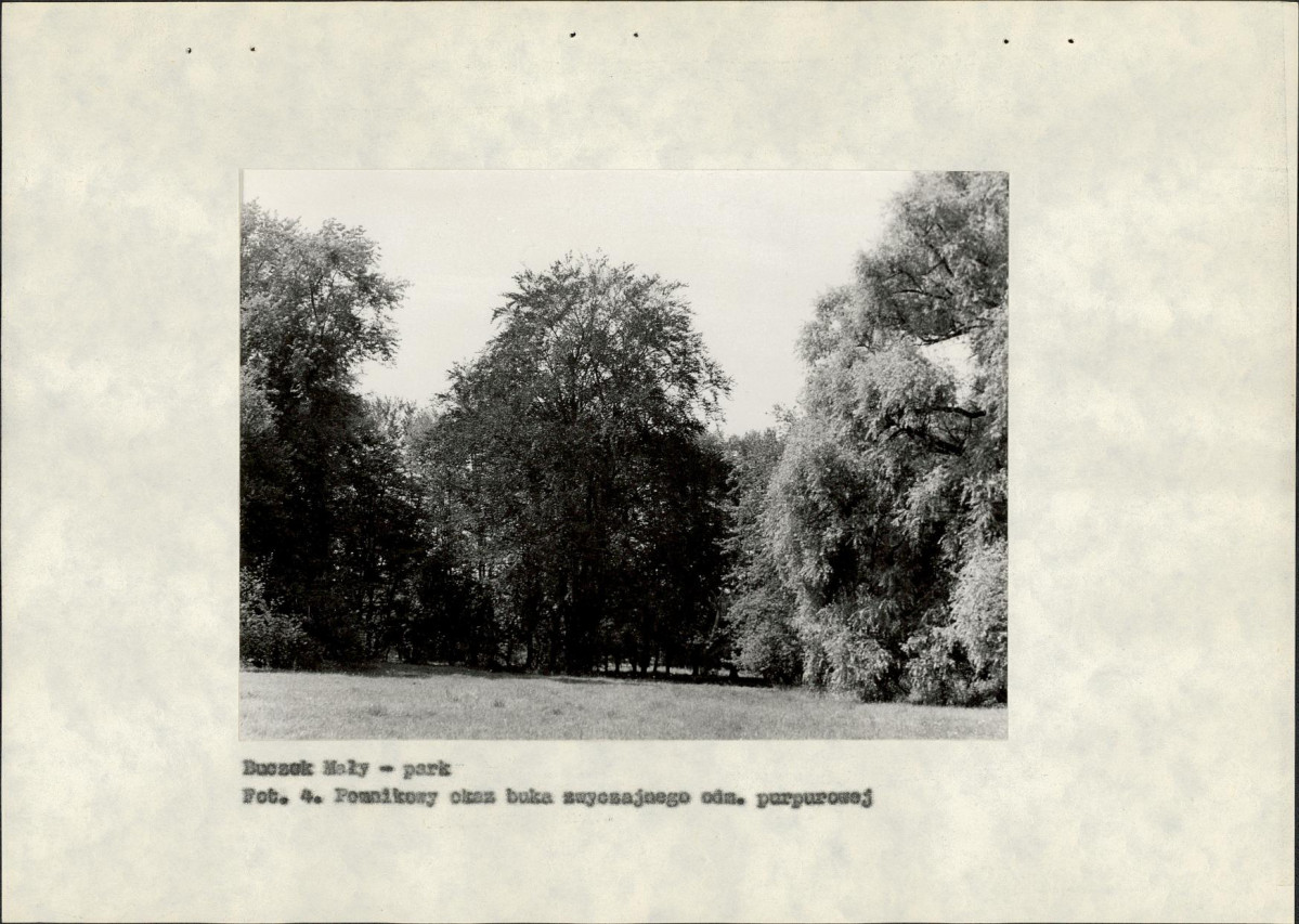Ewidencja parkowa, skan nr 27