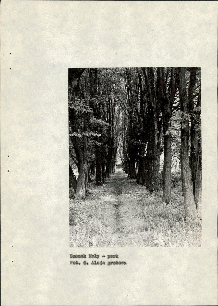 Ewidencja parkowa, skan nr 29
