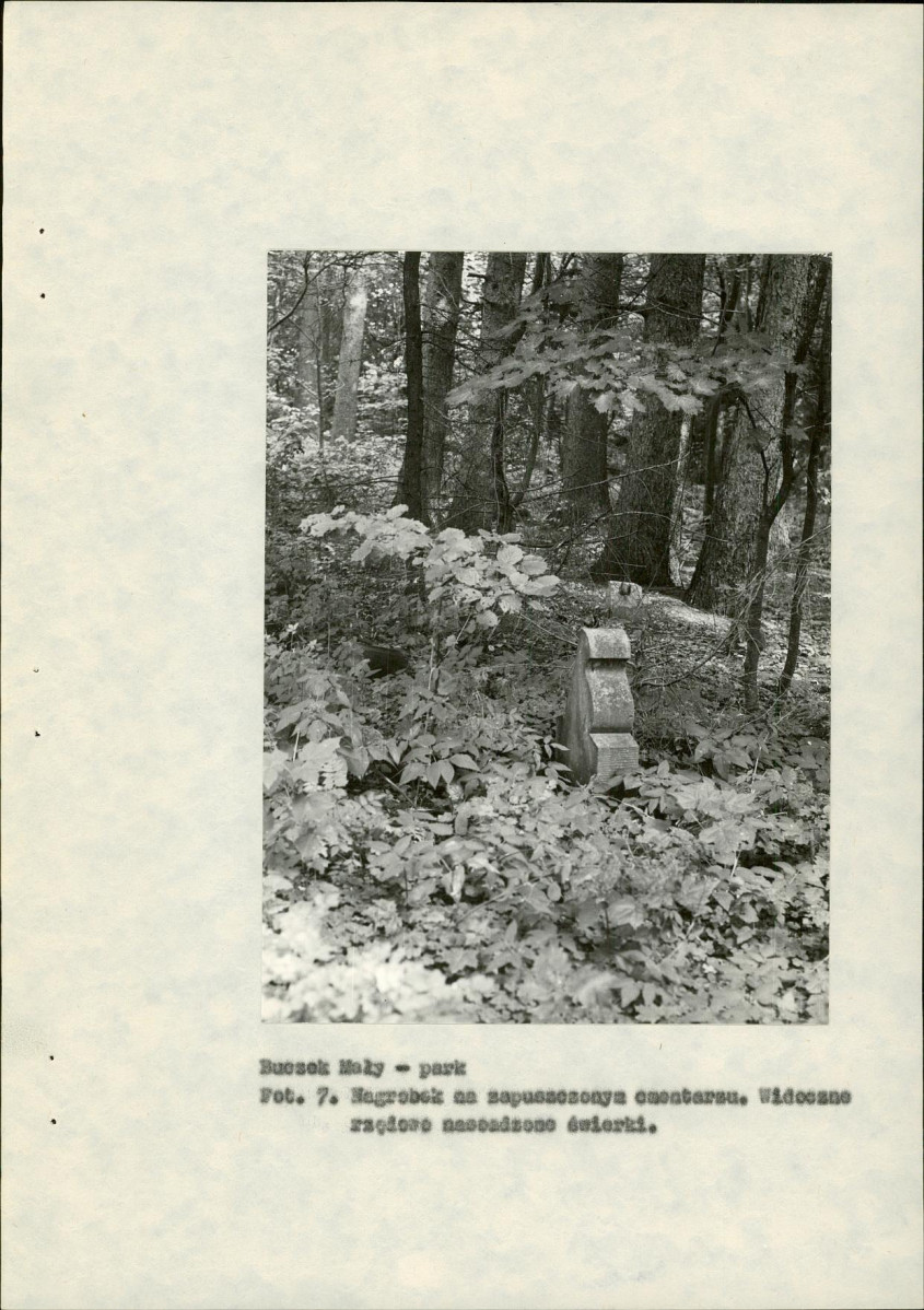Ewidencja parkowa, skan nr 30