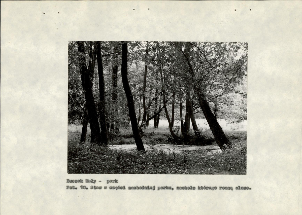 Ewidencja parkowa, skan nr 33