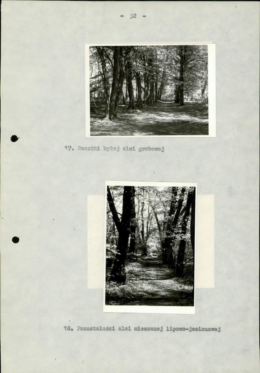 Ewidencja parkowa, skan nr 39