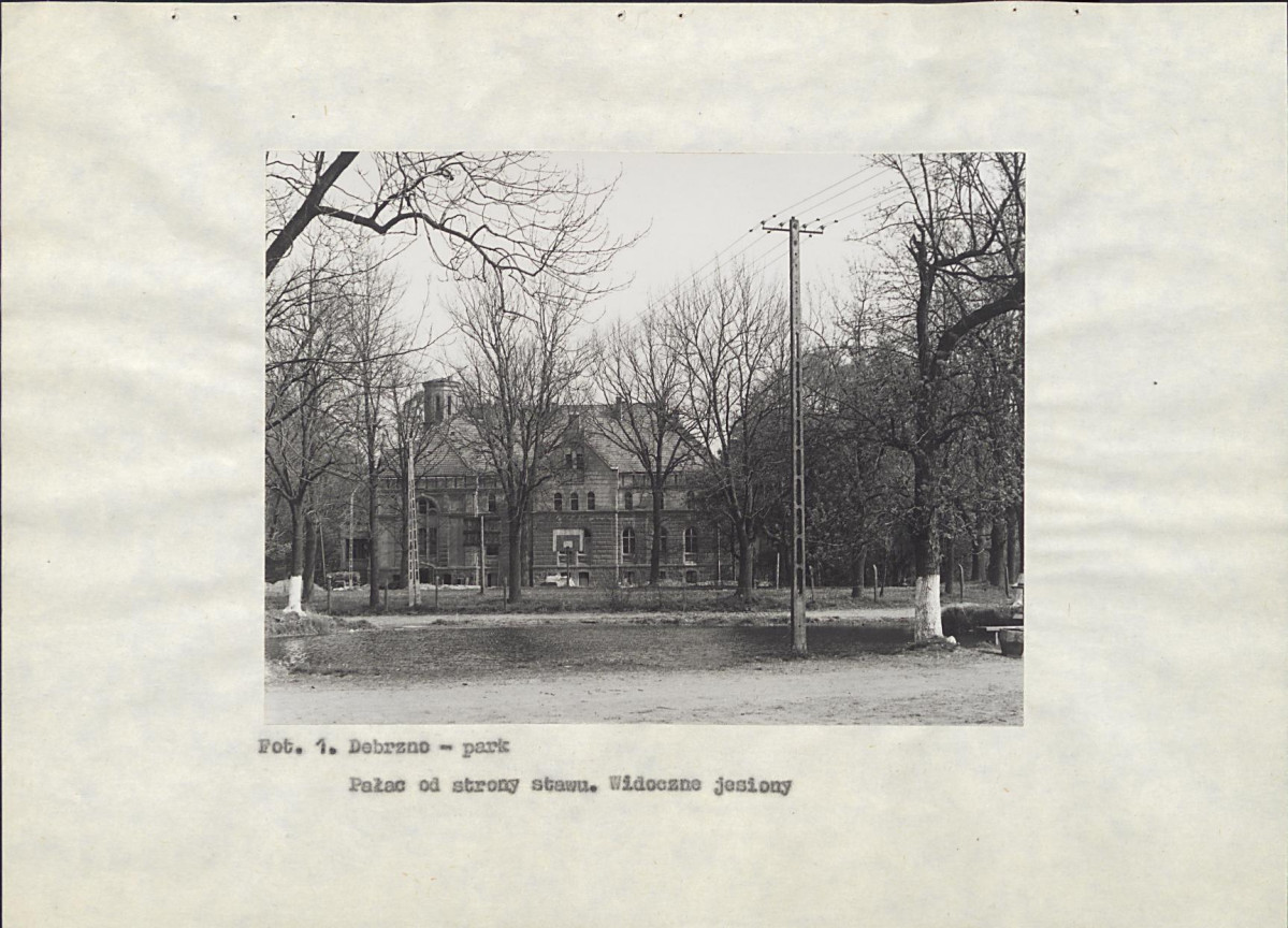 Ewidencja parkowa, skan nr 32