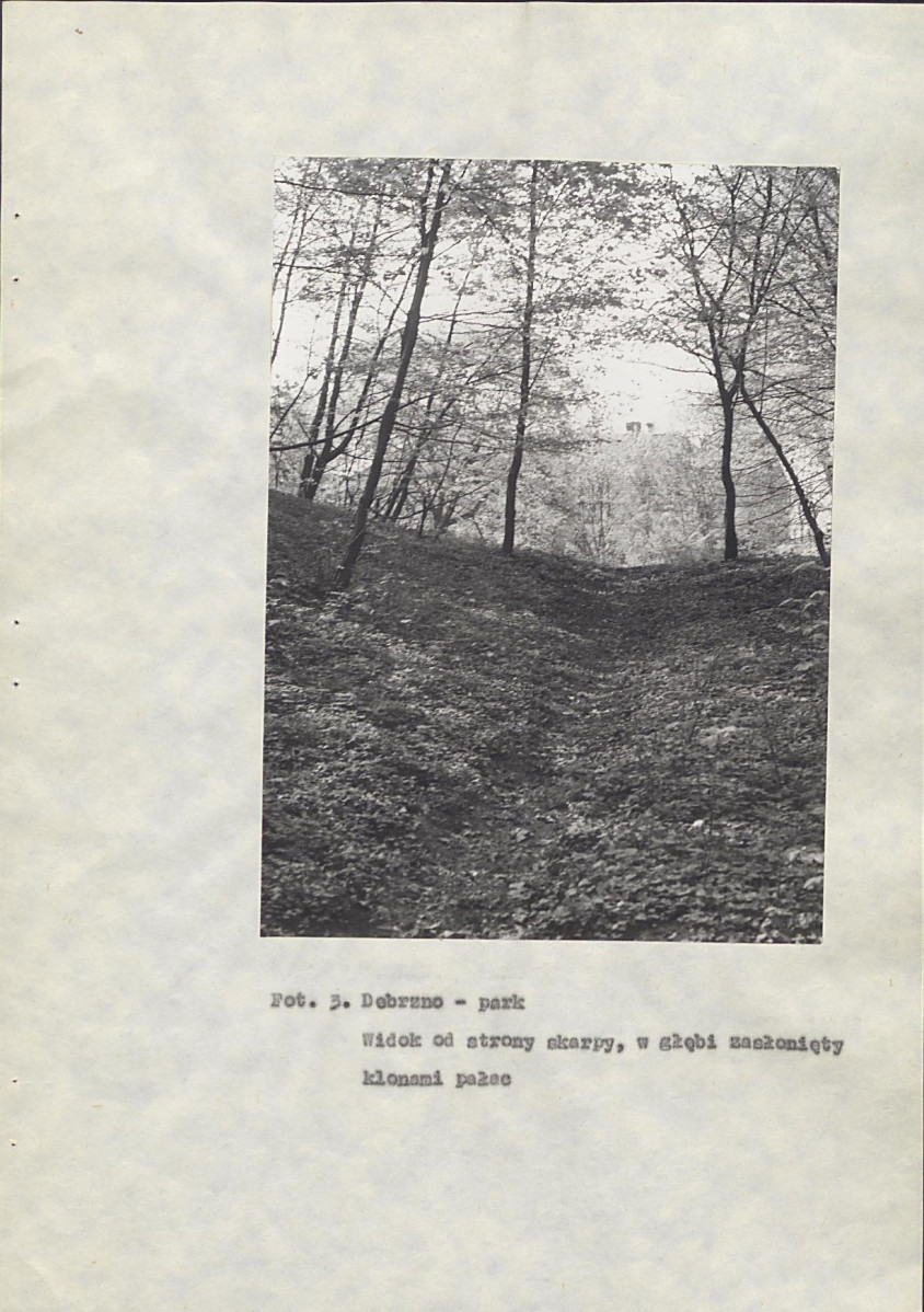 Ewidencja parkowa, skan nr 34