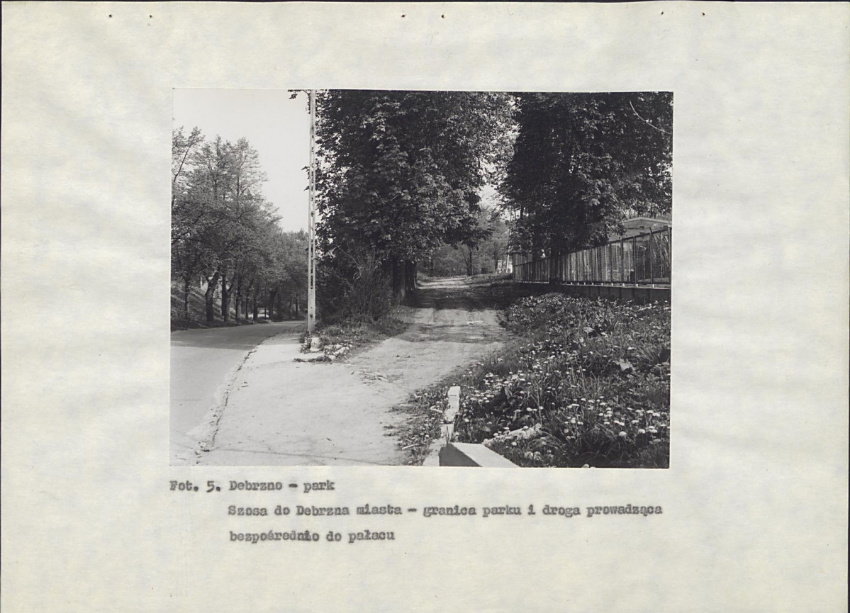 Ewidencja parkowa, skan nr 36