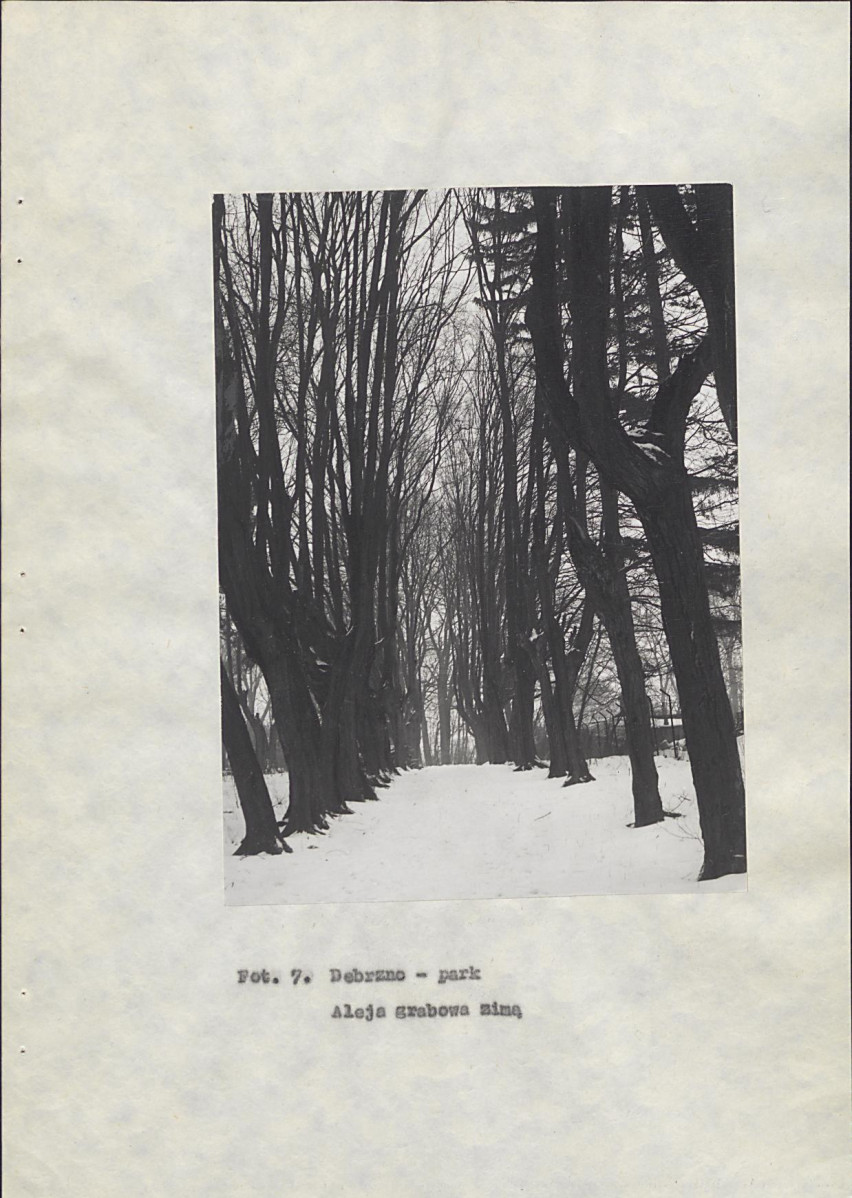 Ewidencja parkowa, skan nr 38