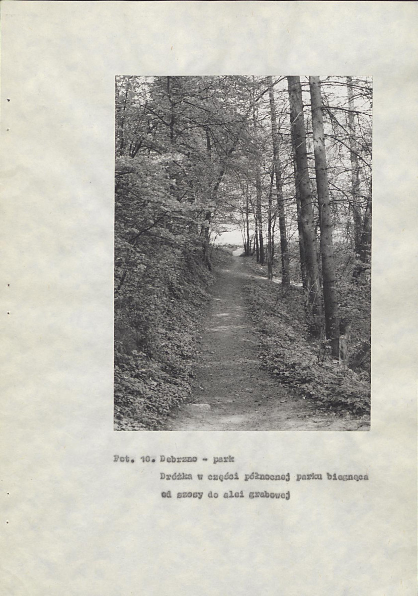 Ewidencja parkowa, skan nr 41