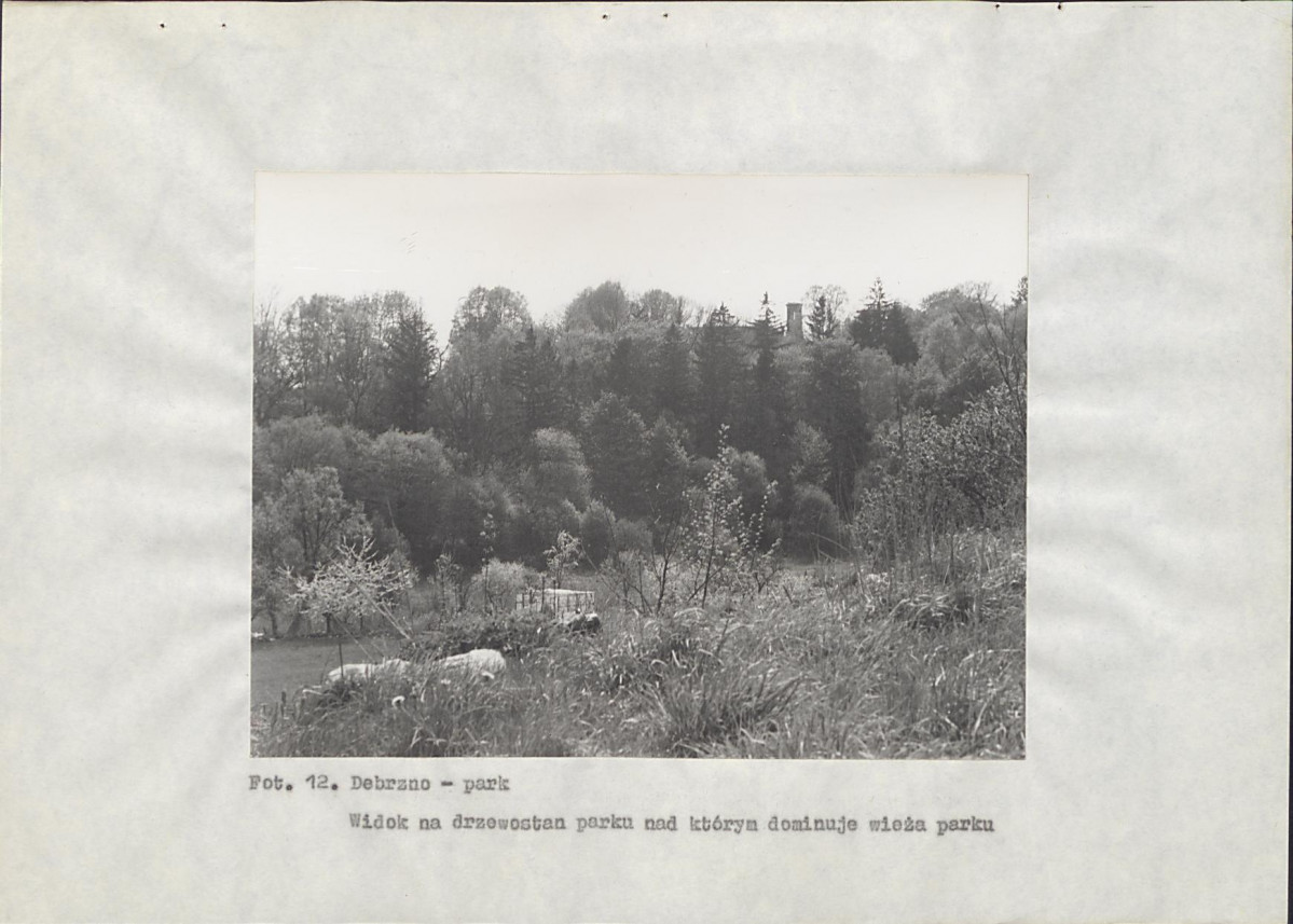 Ewidencja parkowa, skan nr 43