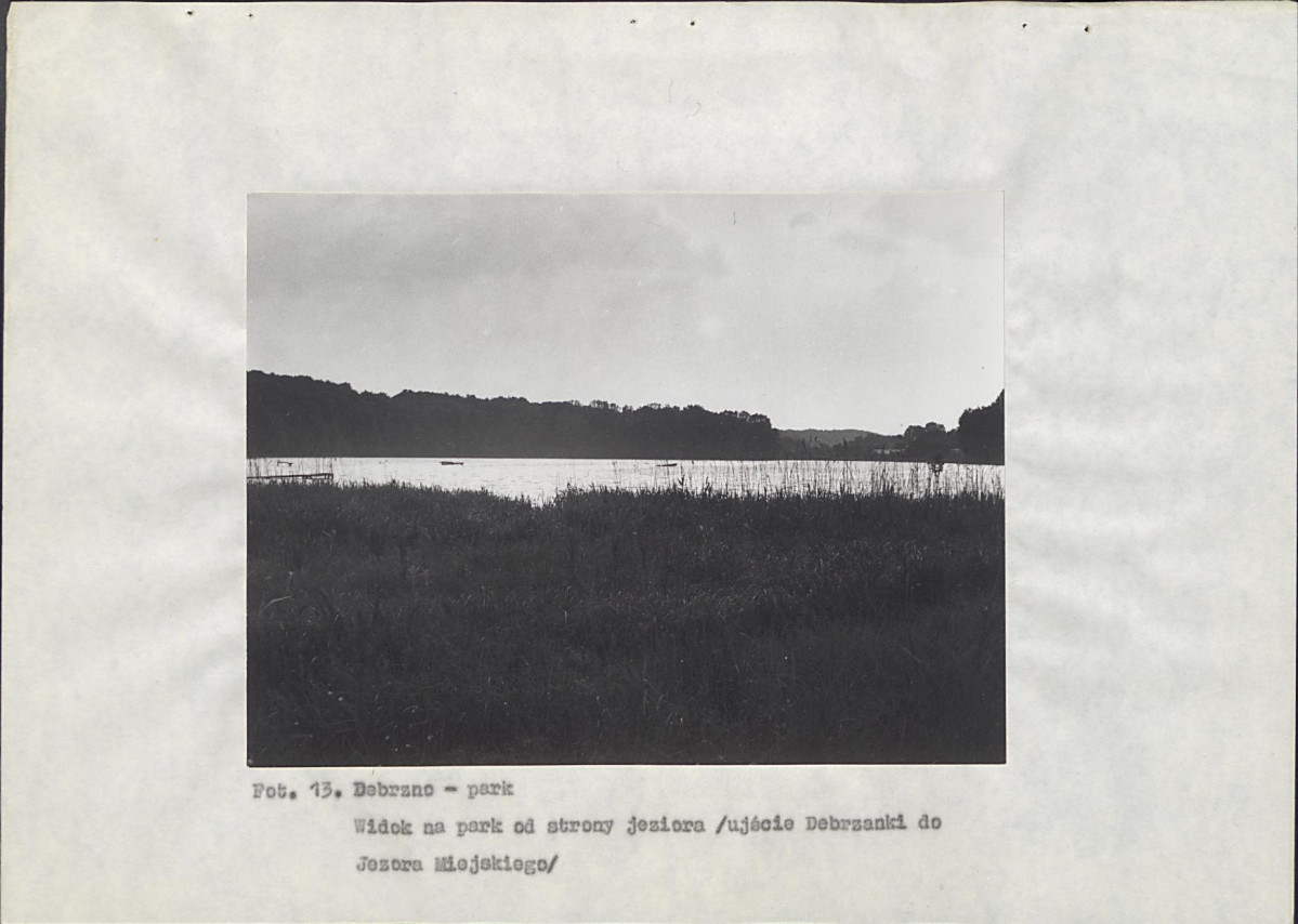 Ewidencja parkowa, skan nr 44