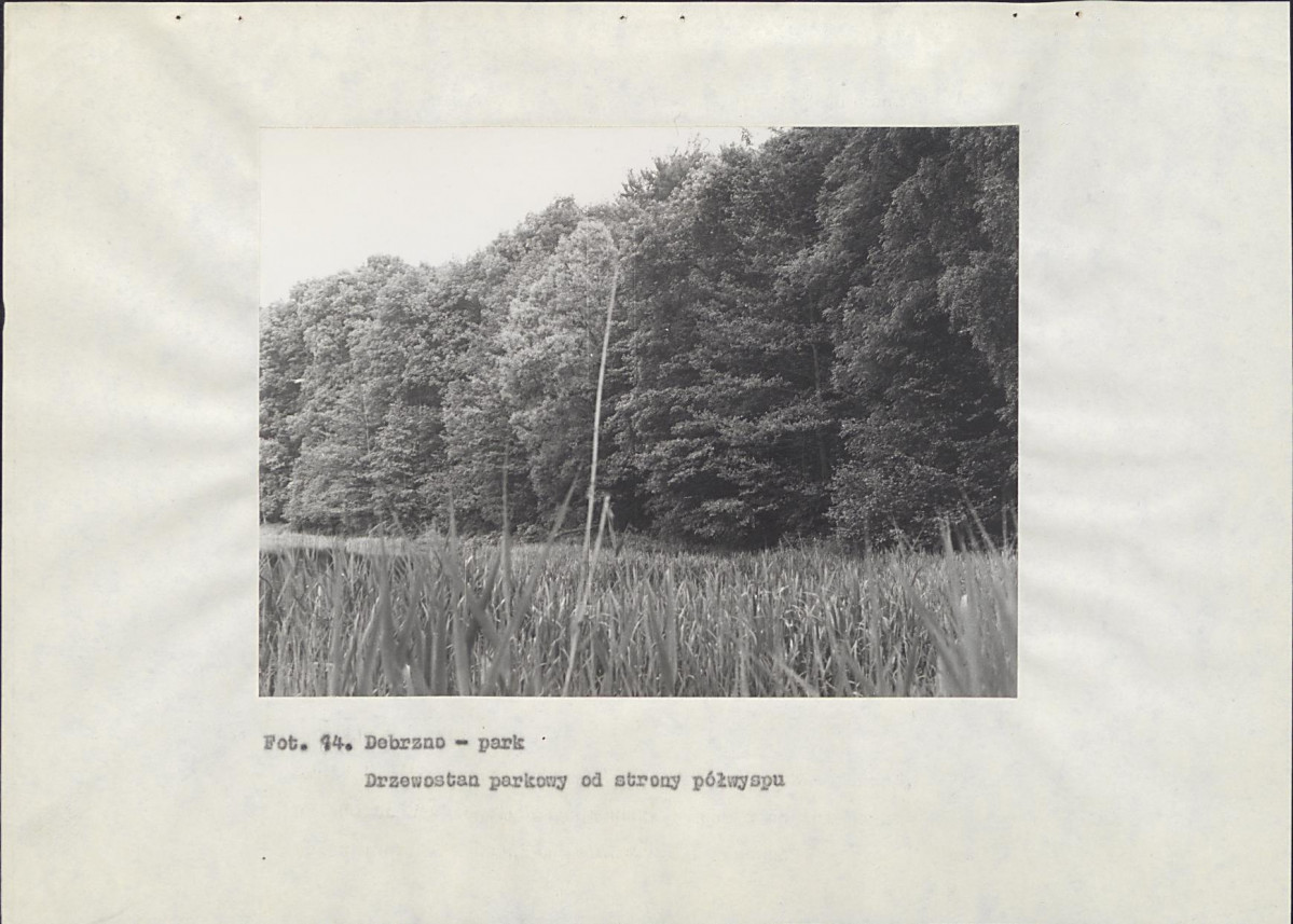 Ewidencja parkowa, skan nr 45