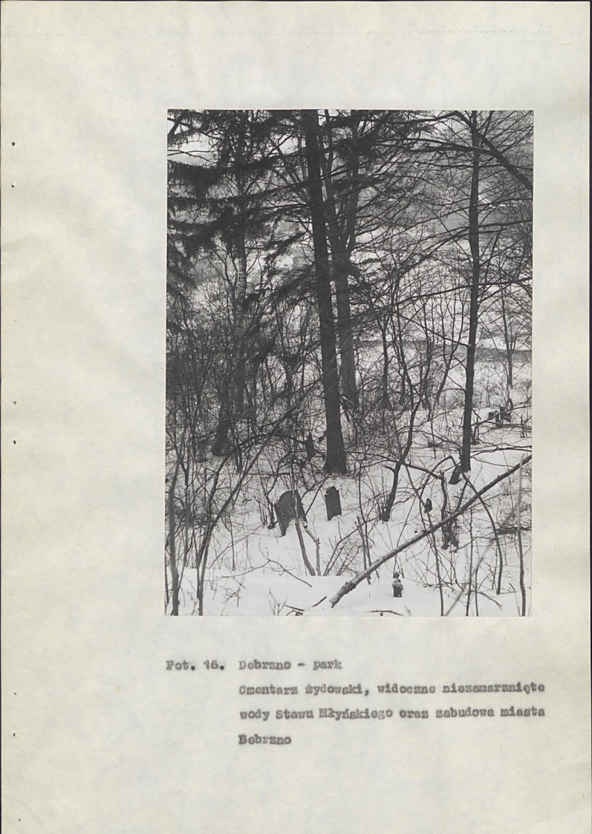 Ewidencja parkowa, skan nr 47