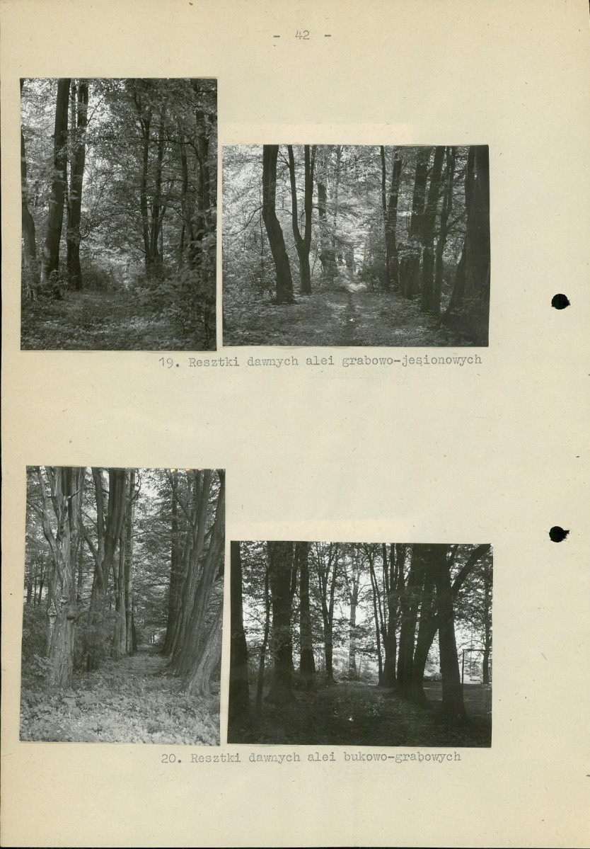 EP - Ewidencja parkowa, skan nr 50