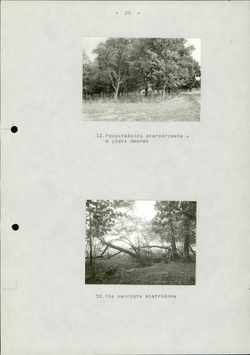 EP - Ewidencja parkowa, skan nr 25
