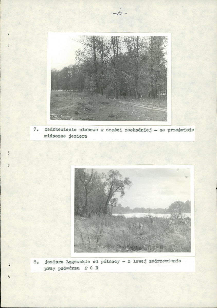 EP - Ewidencja parkowa, skan nr 29