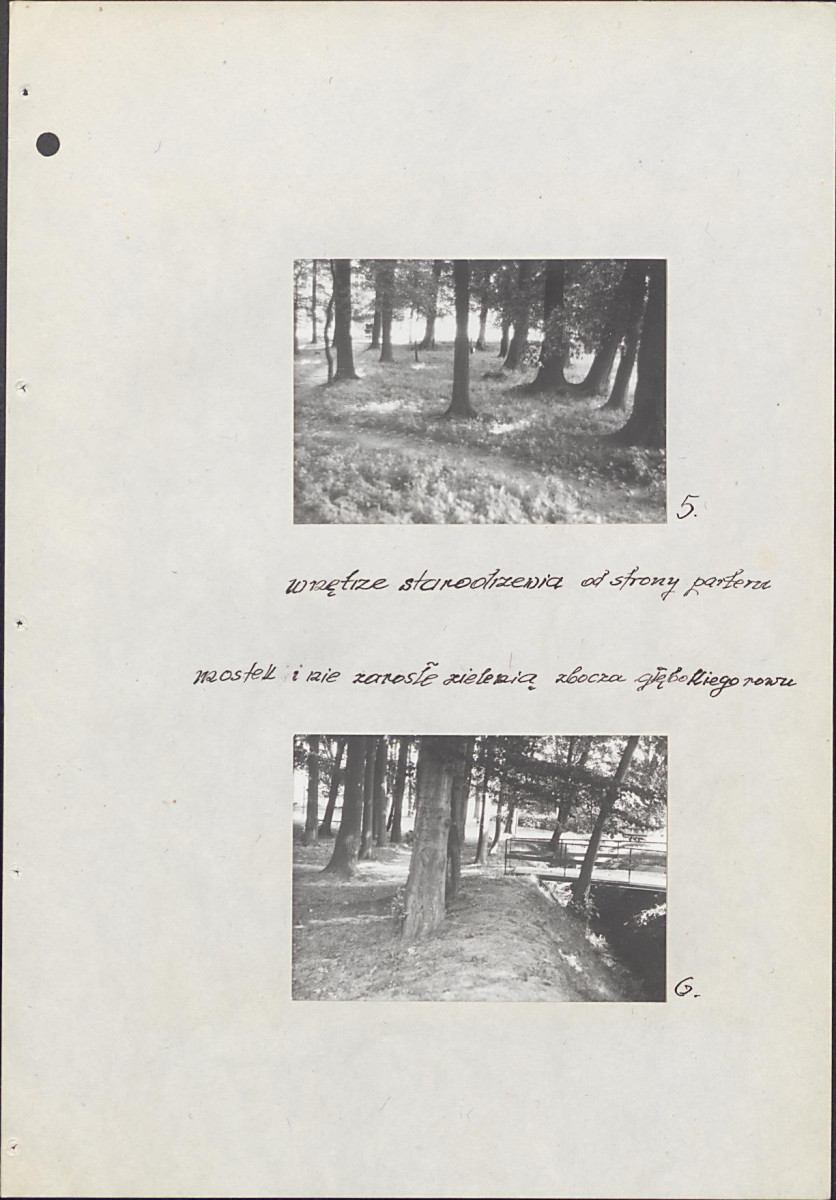 EP - Ewidencja parkowa, skan nr 21