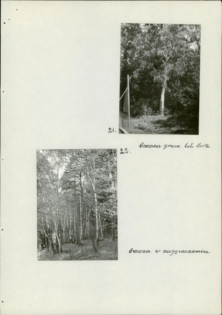 EP - Ewidencja parkowa, skan nr 29