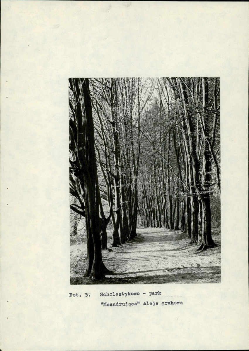 Ewidencja parkowa, skan nr 21