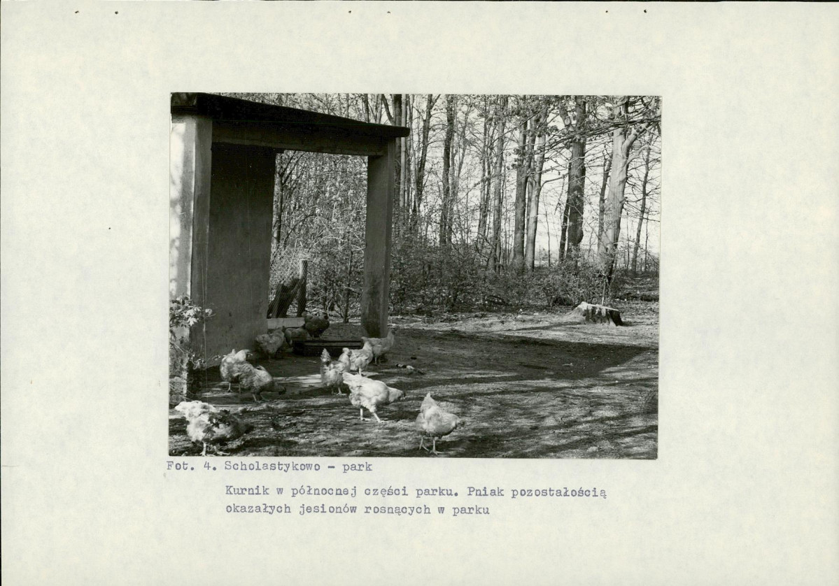 Ewidencja parkowa, skan nr 22