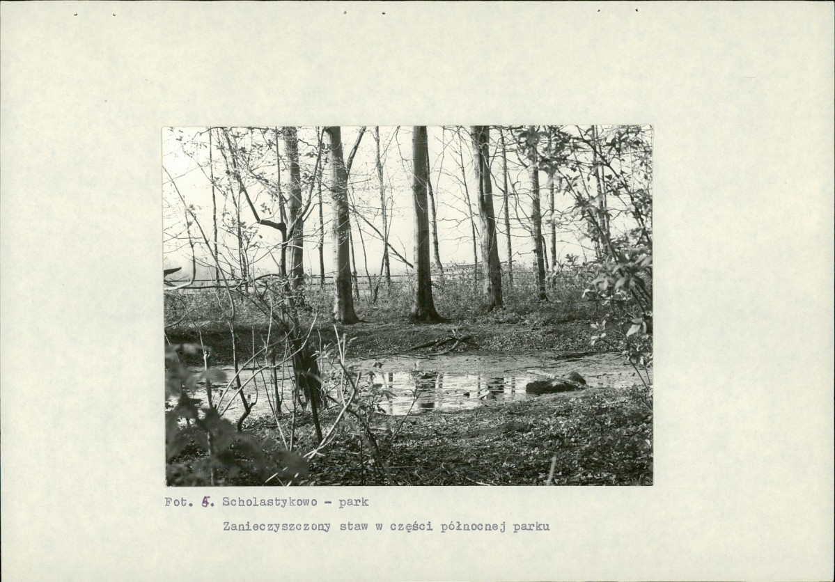 Ewidencja parkowa, skan nr 23